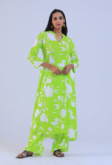 Conifer Viscose Cotton Kurta